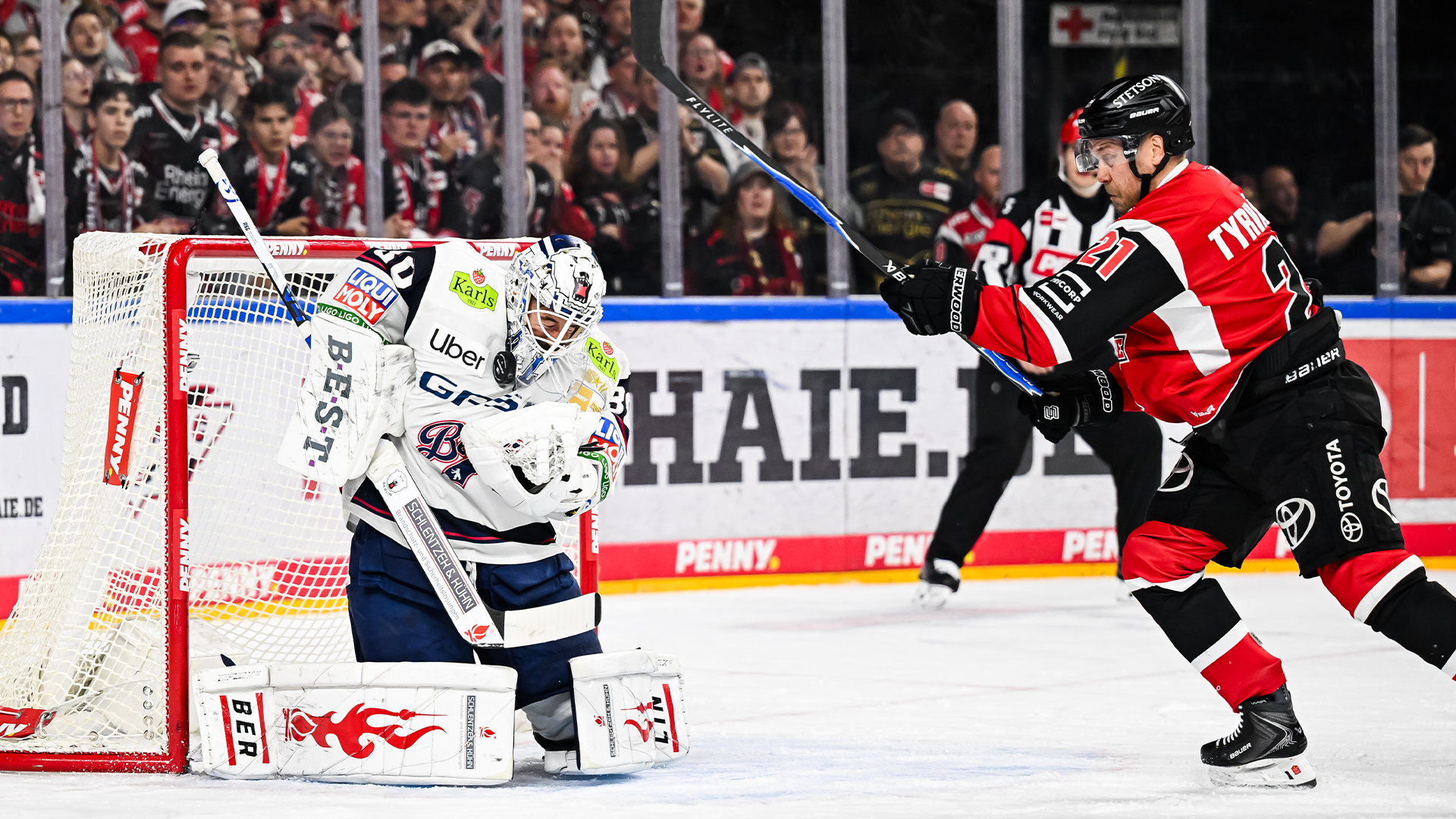 Kölner Haie gg. Eisbären Berlin